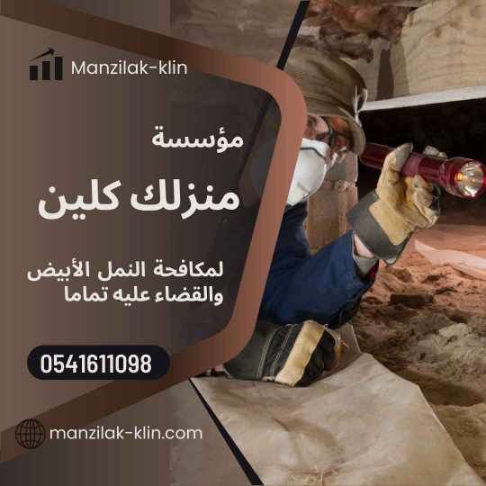  شركة رش النمل الأبيض في مكة 
